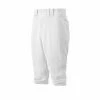 Pants/Shorts Mizuno Youth Premium Short Pant: 350312