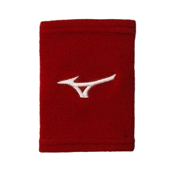 Accessories Mizuno G2 Runbird