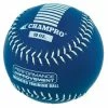 Champro 10 Oz Weighted Training Baseball: CBB710CS