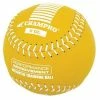 Champro 11 Oz Weighted Training Softball: CSB711CS Speciality Balls