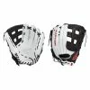 Easton Tournament Elite Series 13" Slowpitch Softball Glove: TESP13 Slowpitch Softball Gloves