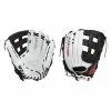 Easton Tournament Elite Series 14" Slowpitch Softball Glove: TESP14 Slowpitch Softball Gloves
