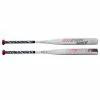 2022 Louisville Slugger Proven (-13) Fastpitch Softball Bat: WBL2550010 Fastpitch Softball Bats