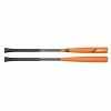 DeMarini Fungodelic Pro Maple Composite Fungo Bat: WTDXFUNDE1835