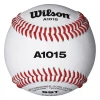Wilson Sporting Goods Baseballs Wilson A1015 NFHS Baseball (Dozen): WTA1015BSST