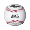 Wilson Sporting Goods Wilson A1217 Soft Compression Level 1 Baseball (Dozen): WTA1217B