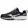 Women's Turf/Trainers Mizuno Ambition 2 All Surface Low Women's Turf Shoe