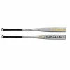 BBCOR Baseball Bats 2023 True Temper Dynamic (-3) BBCOR Adult Baseball Bat 2 5/8”: BB23DYNB3
