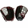 Miken Player Series 14 Inch Slowpitch Softball Glove: PS140PH