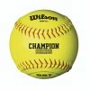 Wilson Sporting Goods Wilson A9011 NFHS Polycore Fastpitch Softball 12 Inch: One Dozen