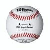 Wilson Sporting Goods Wilson A1062BDY1 Dixie Youth Baseball (Dozen)