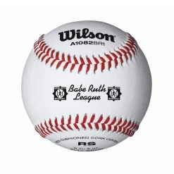 Wilson Sporting Goods Wilson A1082BR1 Babe Ruth Baseball (Dozen) Baseballs